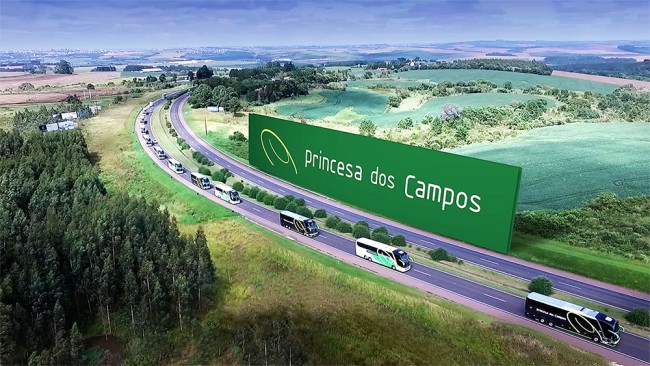 Perfis oficiais da Princesa dos Campos nas redes sociais.